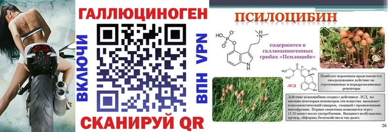 где найти   Вышний Волочёк  ссылка на мегу вход  Галлюциногенные грибы MAGIC MUSHROOMS 